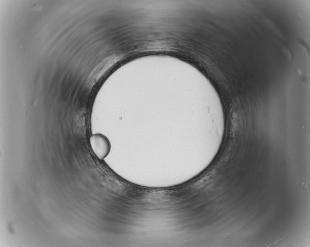 X0000103971162200810171918