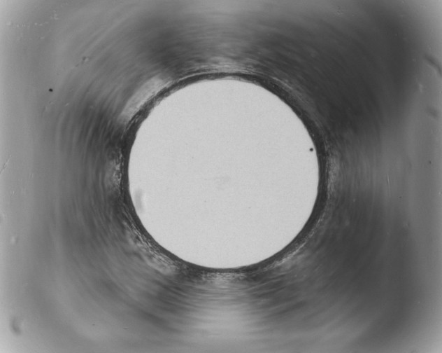 X0000103971163200810171918