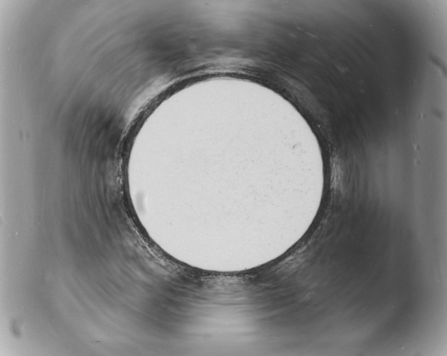 X0000103971164200810171918