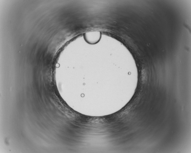 X0000103971165200810171918
