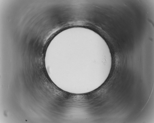 X0000103971166200810171918