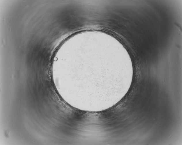 X0000103971168200810171918