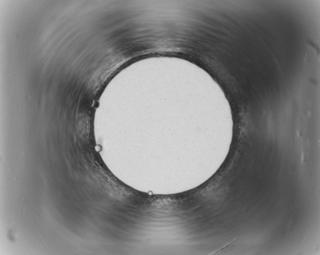 X0000103971169200810171918