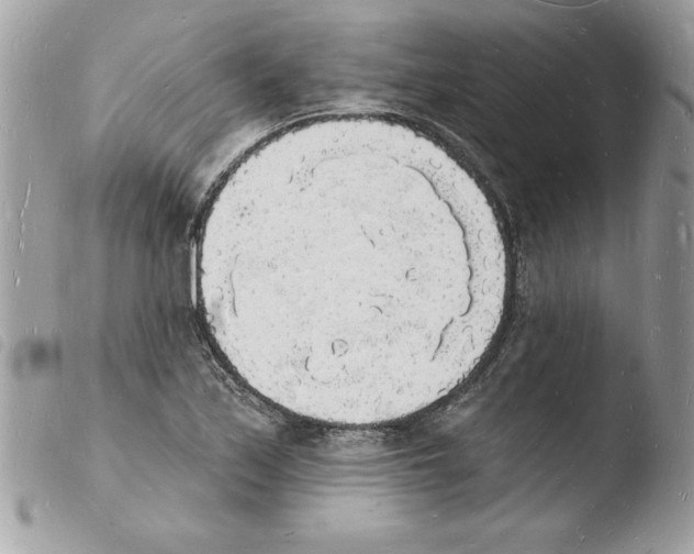 X0000103971171200810171918