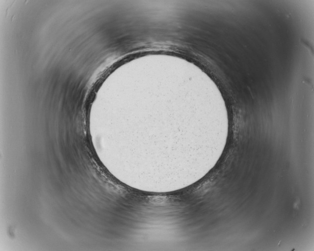 X0000103971172200810171918