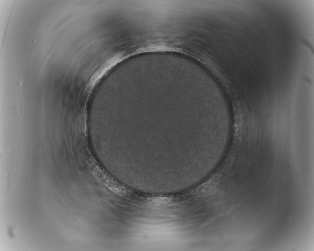 X0000103971173200810171918