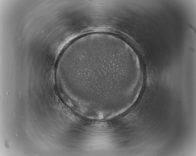 X0000103971174200810171917