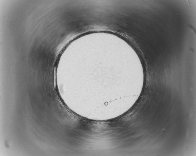 X0000103971175200810171917