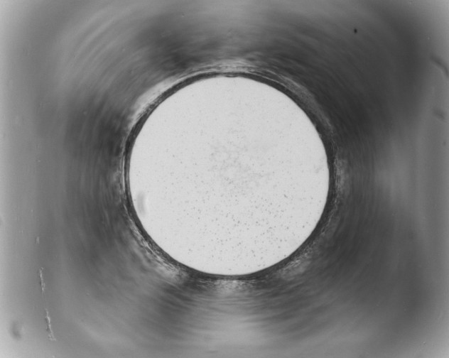 X0000103971176200810171917