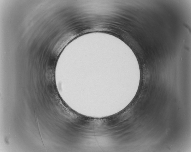 X0000103971177200810171917