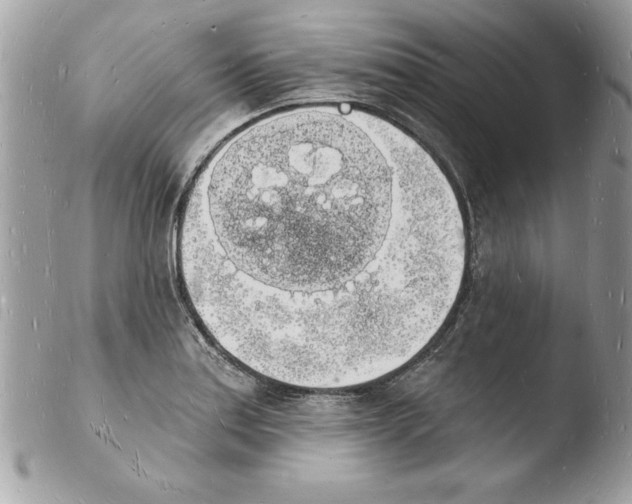 X0000103971179200810171917