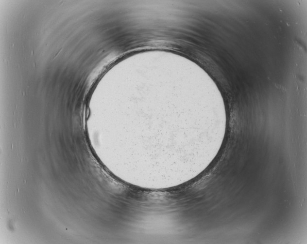 X0000103971180200810171917