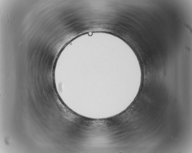 X0000103971181200810171917