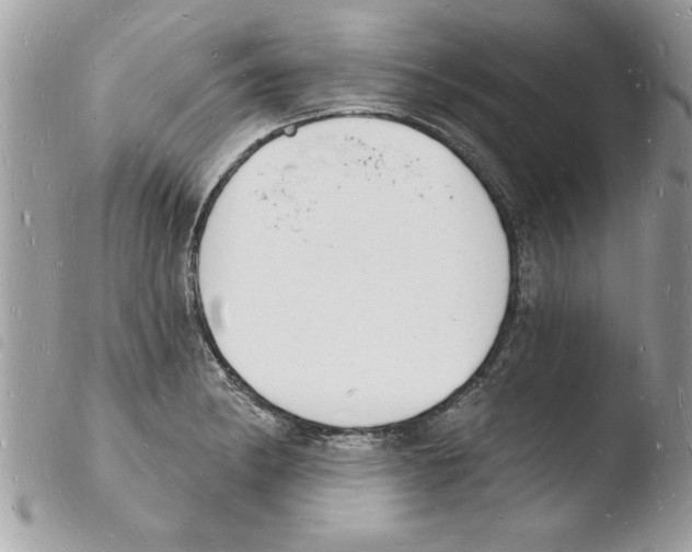 X0000103971182200810171917