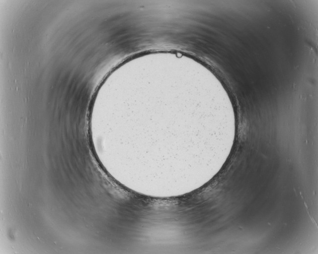 X0000103971183200810171917