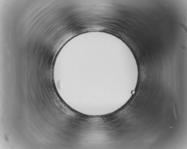 X0000103971186200810171917