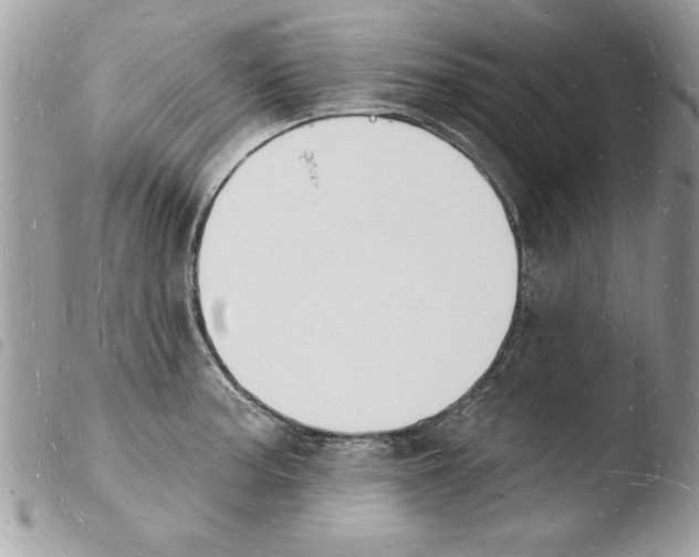 X0000103971187200810171917