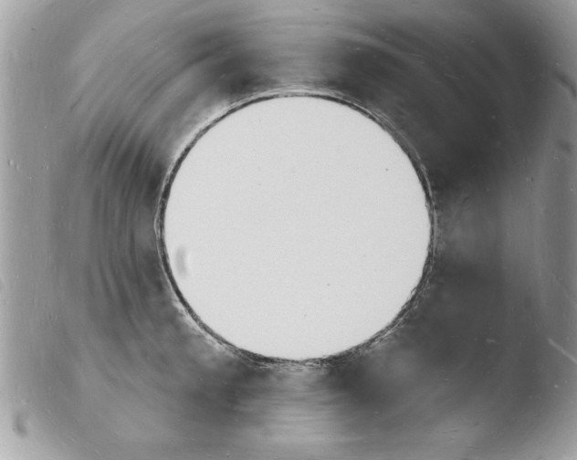 X0000103971189200810171917