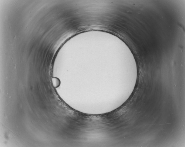 X0000103971190200810171917