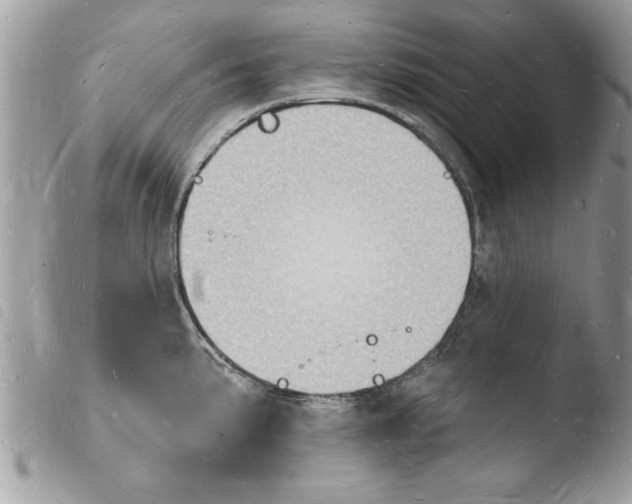 X0000103971191200810171917