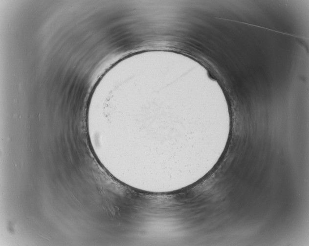 X0000103971192200810171917