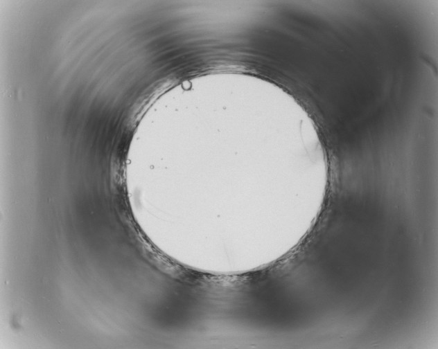 X0000103971193200810171917