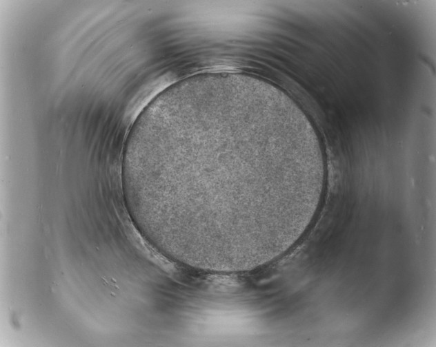 X0000103971194200810171917