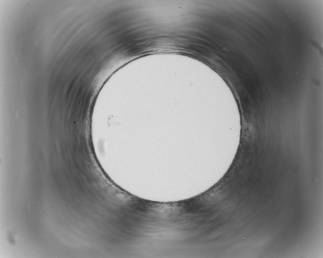 X0000103971195200810171917