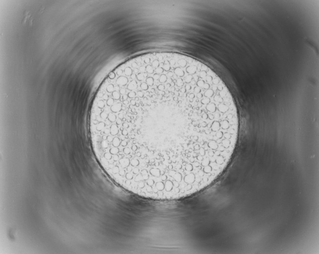 X0000103971196200810171917