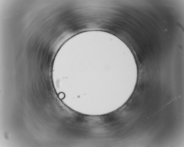 X0000103971197200810171917