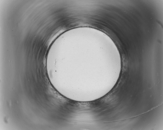 X0000103971198200810171917