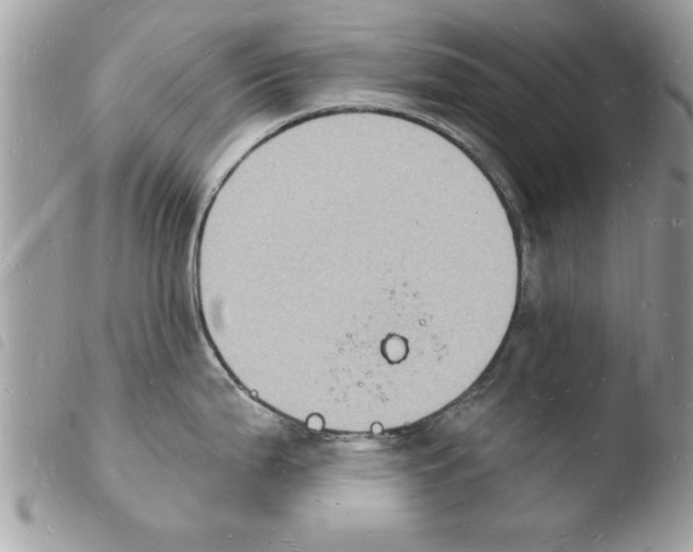 X0000103971199200810171917