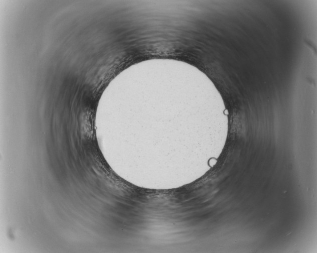 X0000103971202200810171916