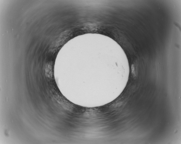 X0000103971203200810171916