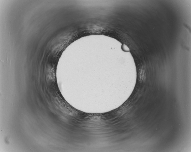 X0000103971204200810171917