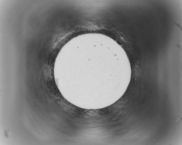 X0000103971205200810171917