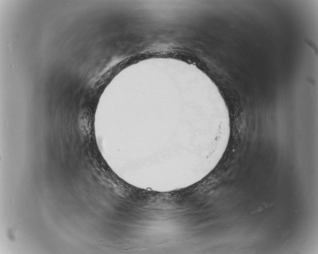 X0000103971206200810171917