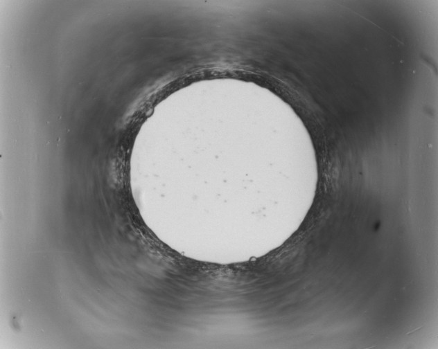 X0000103971207200810171917