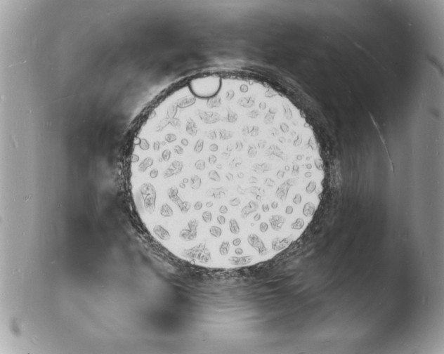 X0000103971208200810171917