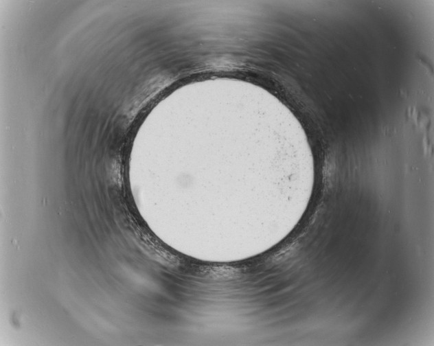 X0000103971209200810171917