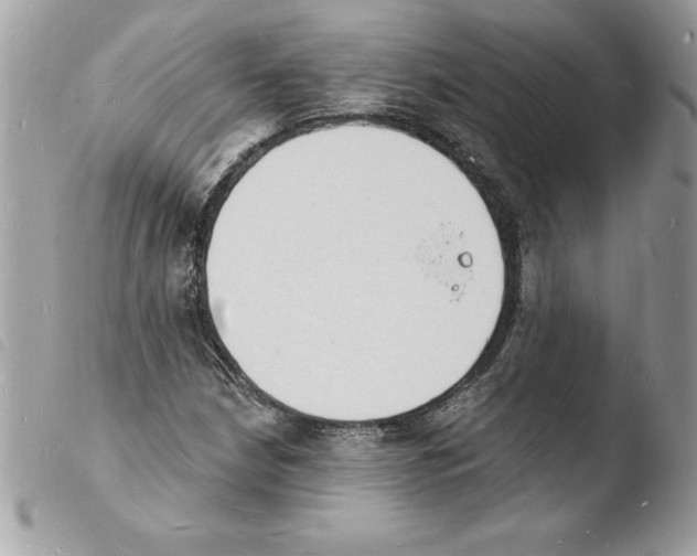 X0000103971210200810171917