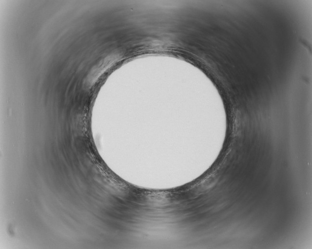 X0000103971211200810171917