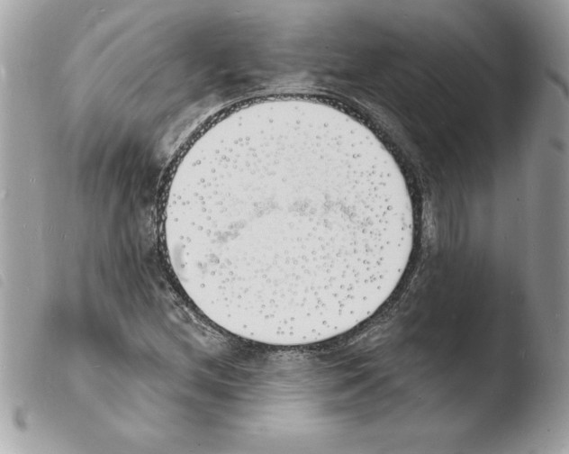 X0000103971212200810171917