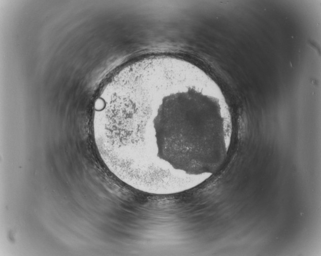 X0000103971213200810171917