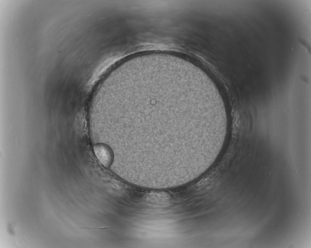 X0000103971215200810171917