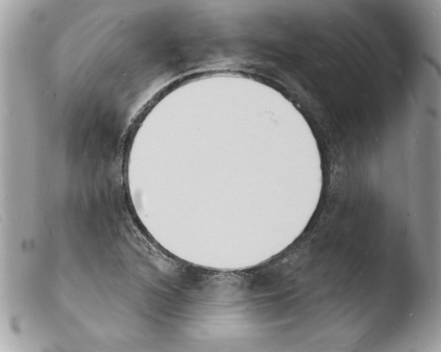 X0000103971216200810171917