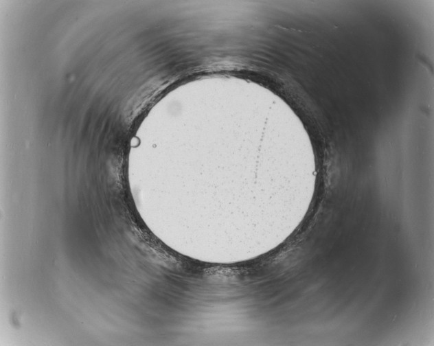 X0000103971217200810171917