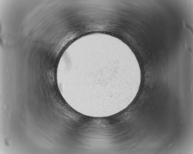 X0000103971218200810171917