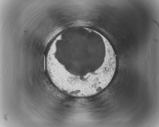 X0000103971219200810171917