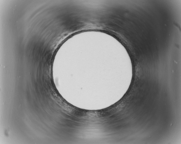 X0000103971220200810171917